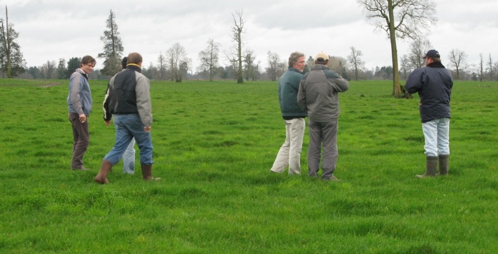 Increasing production of winter dairy pastures in Southern Chile