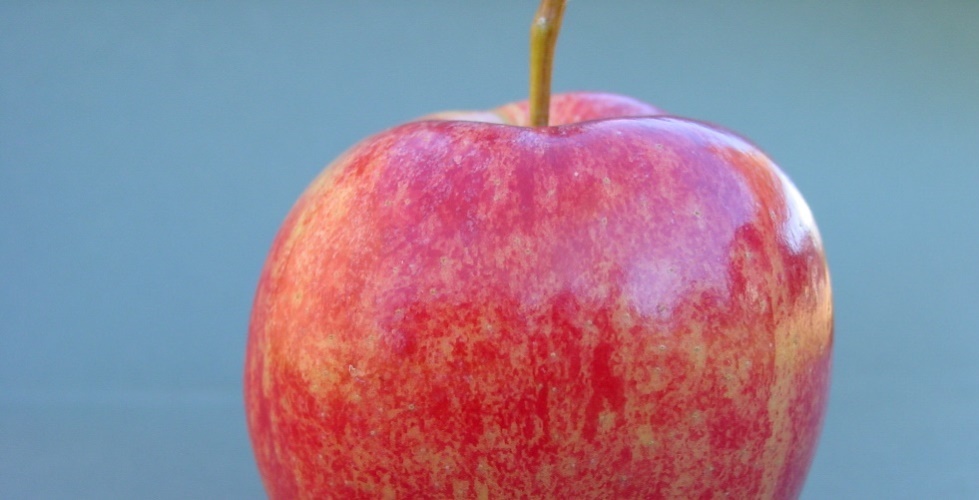 Fruit quality characteristics in Royal Gala apples
